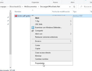 LECTOR PDF GRATIS visual data 4